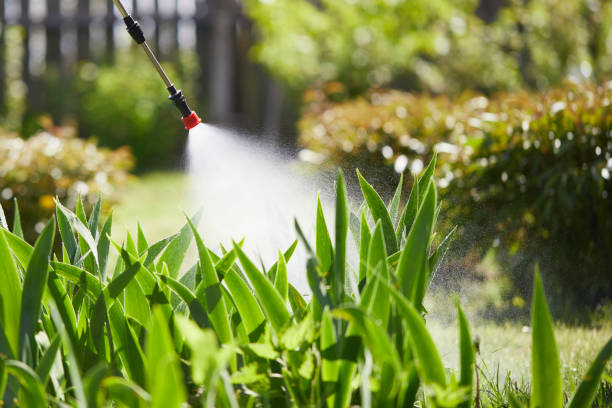24/7 Emergency Mosquito Control experts in Sisters, OR