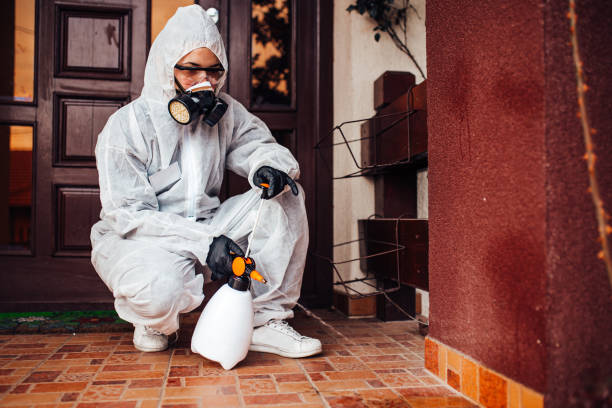 Reliable Mosquito Control contractor in Sisters, OR by Show Me Pest Control
